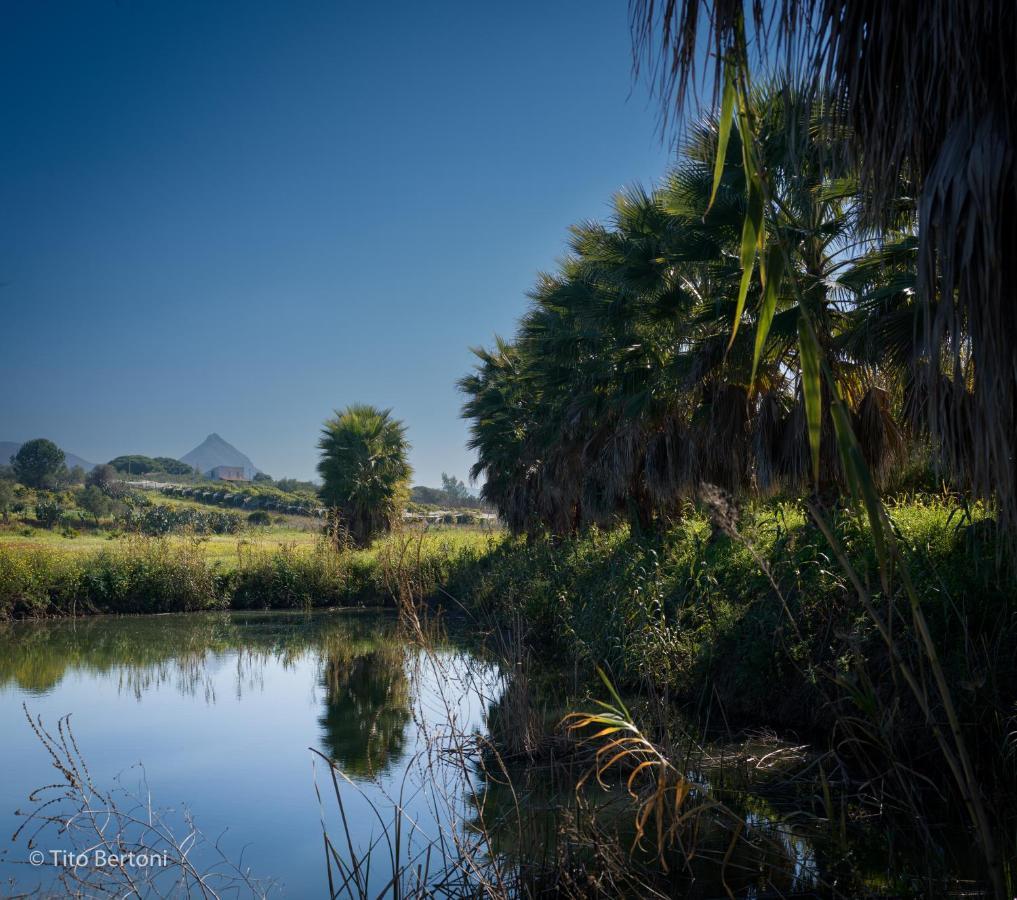 Azienda Agrituristica Baglio Carta 巴莱斯特拉泰 外观 照片